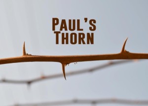 pauls-thorn